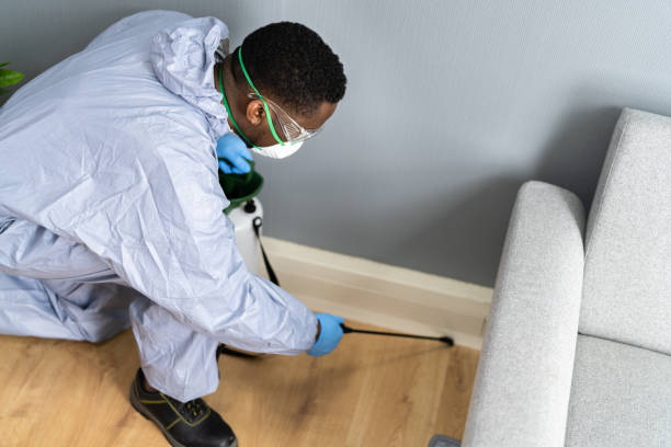 Real Estate Pest Inspections in Allentown, PA